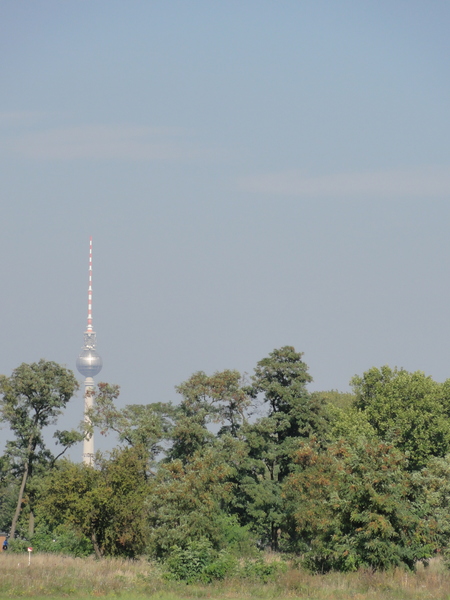 Fernsehturm vom Tempelhofer Feld