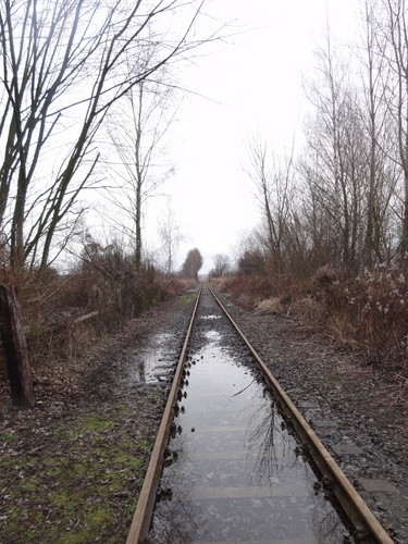Bahnstrecke zw. Märkischem Viertel und Rosenthal