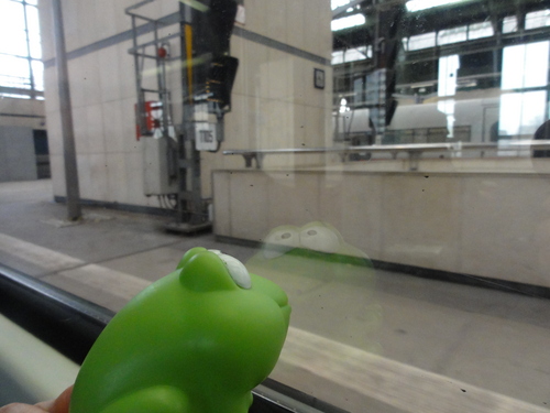 Froggy at Ostbahnhof