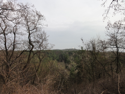 Köpenick: Kanonenberg Blick auf Müggelturm