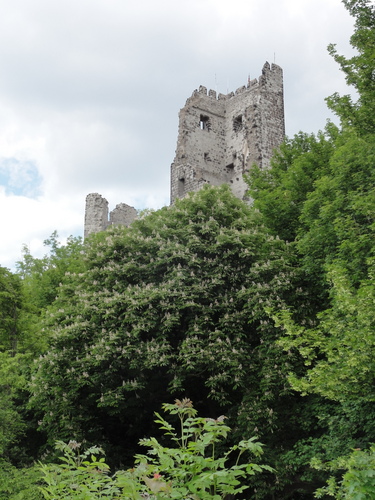 Burg auf den Drachenfels