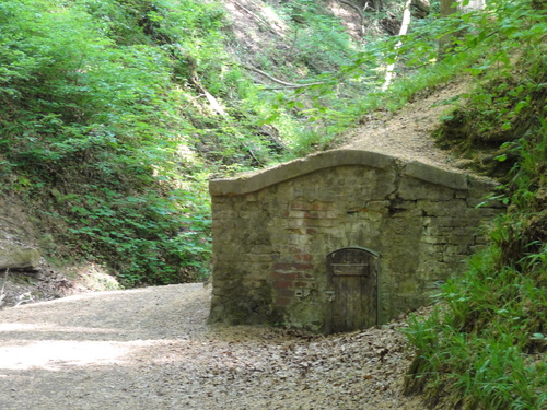 Römer-Quelle im Wald