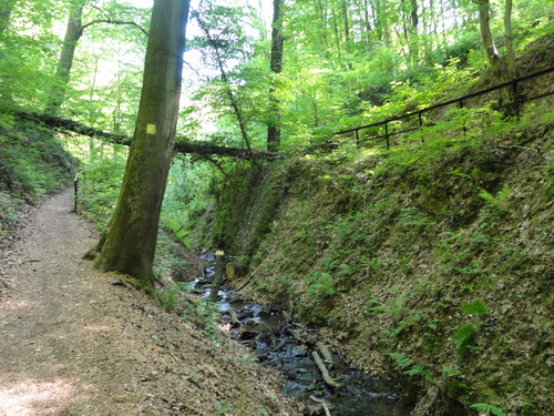 Bad Honnef, Weg zur Löwenburg