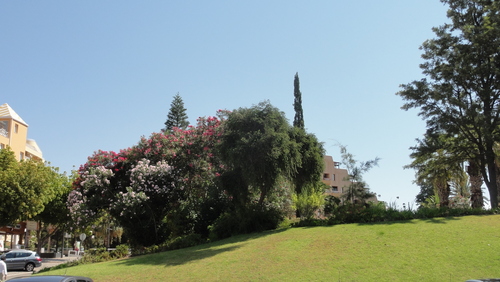Vilamoura House and Flowers