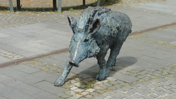 Wildschwein in Kettwig