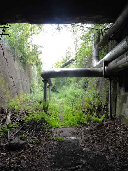 Essen, Kruppgelände, alter Eisenbahntunnel für Fernwärme