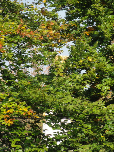 Herbst im Tiergarten