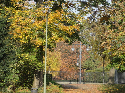 Herbst im Tiergarten